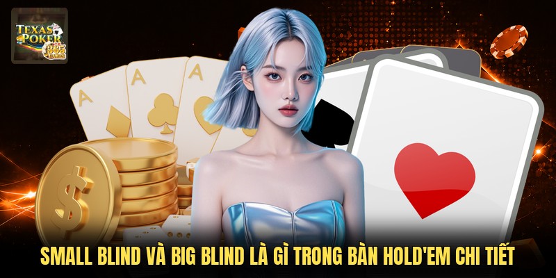 Small Blind Và Big Blind Là Gì Trong Bàn Hold'em Chi Tiết